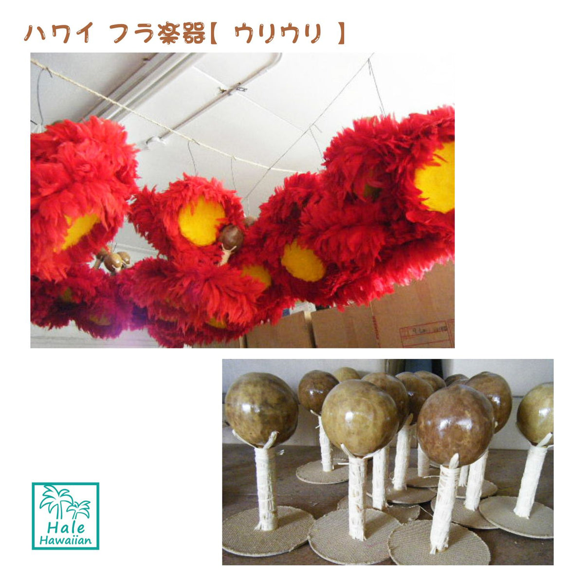 Hawaii Hawaiian Hula Supplies, Hula Instrument, [Uli Uli Cap] 1 Pair