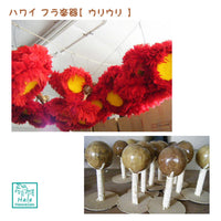 Hawaii Hawaiian Hula Supplies, Hula Instrument, [Uli Uli Cap] 1 Pair