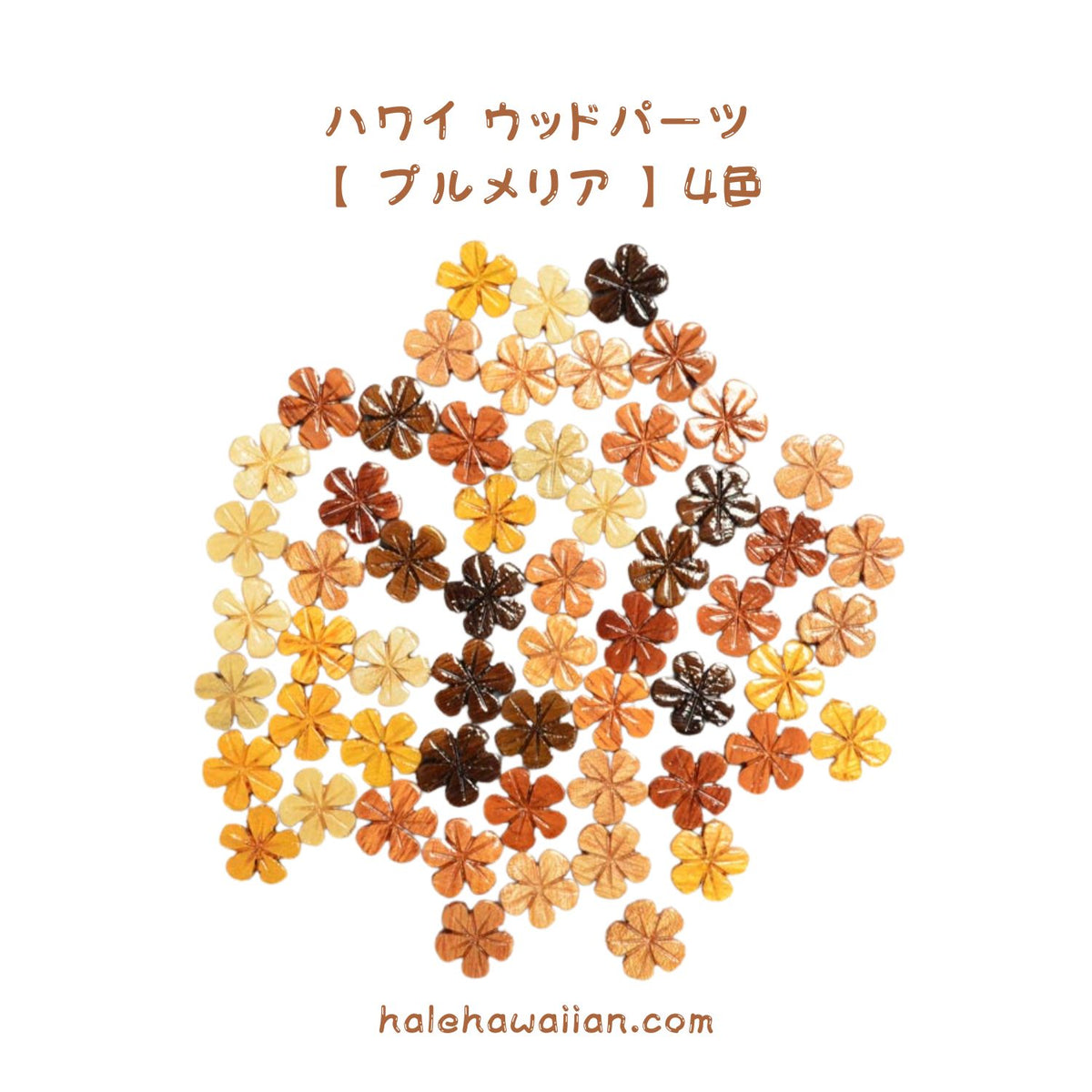 ハワイアン フラ用品 ウッドパーツ【 プルメリア 】 50個入り