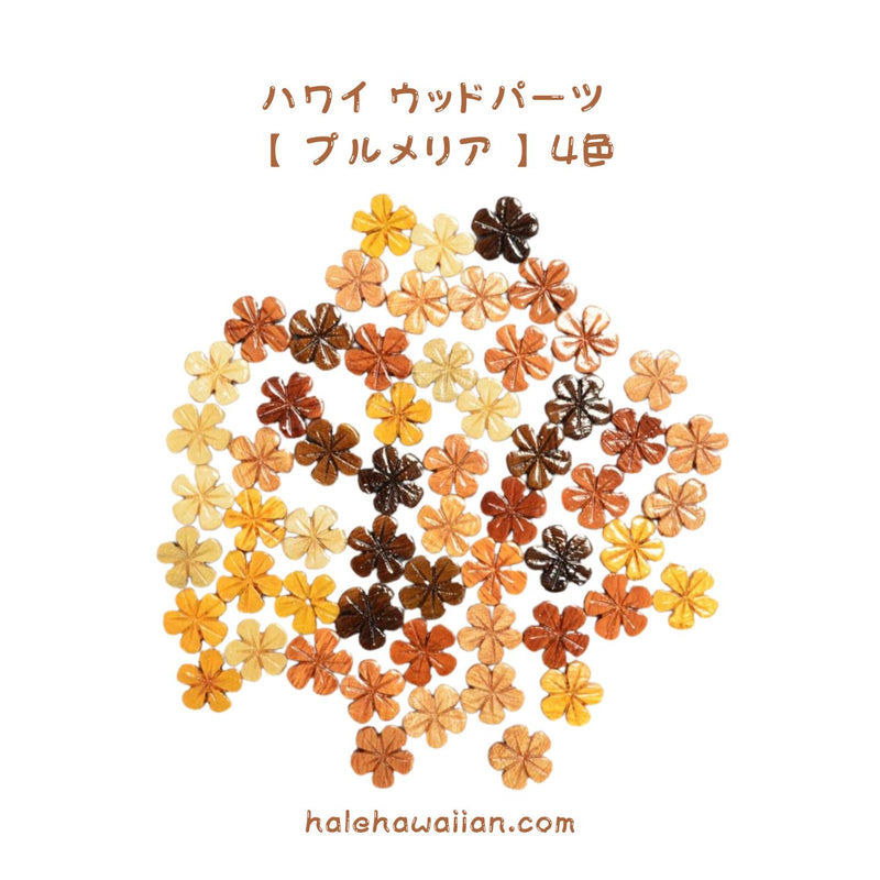 ハワイアン フラ用品 ウッドパーツ【 プルメリア 】 50個入り