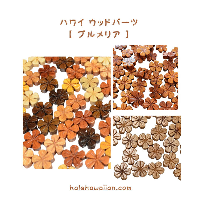 ハワイアン フラ用品 ウッドパーツ【 プルメリア 】 50個入り