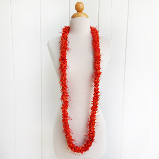 Hula Supplies – Halehawaiian