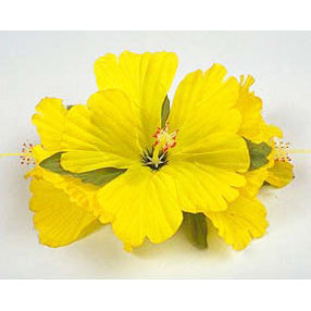 Hawaiian Hula Supplies Flower Hair Clip [NEW Hibiscus/3 Flowers]