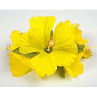 Hawaiian Hula Supplies Flower Hair Clip [NEW Hibiscus/3 Flowers]