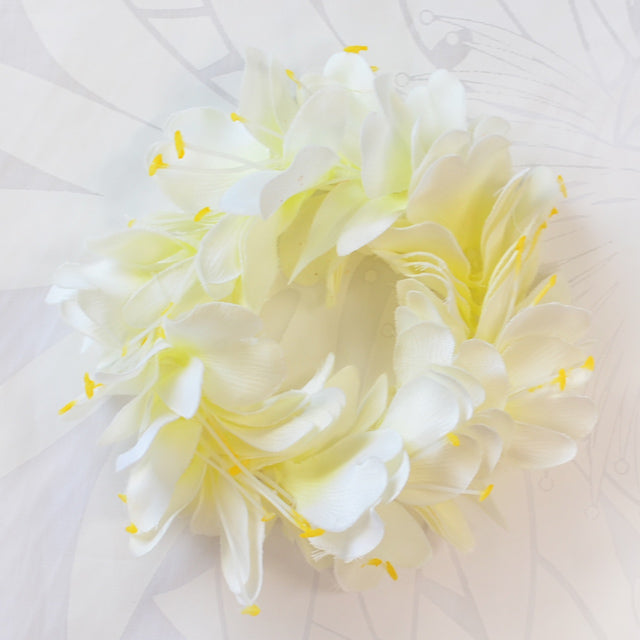 Hula kaiiページ Hula Supplies – Halehawaiian