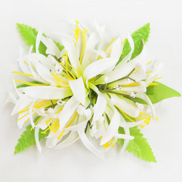 Hula kaiiページ Hula Supplies – Halehawaiian