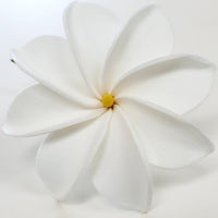 Hawaiian Hula Supplies Flower Hair Clip [New White Tiare]