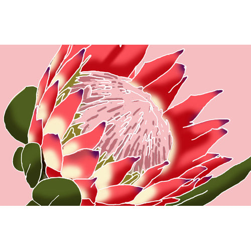 Hawaiian Pareo [Protea]