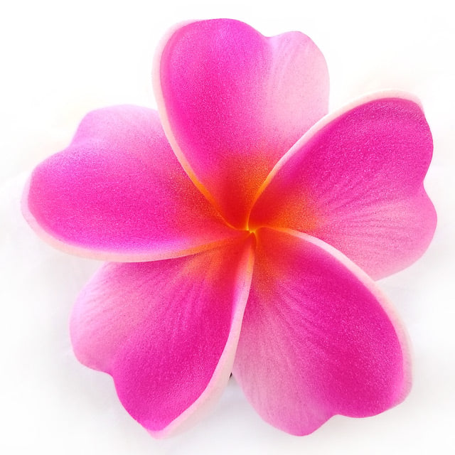 Hawaiian Hula Supplies Flower Hair Clip [Plumeria GA]