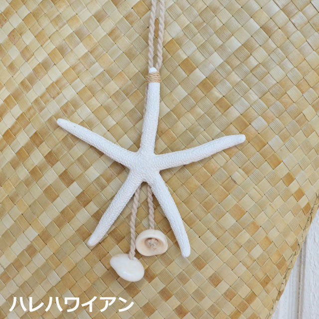 Hawaiian Jewelry Earrings [Starfish Charm with Puka Shell]