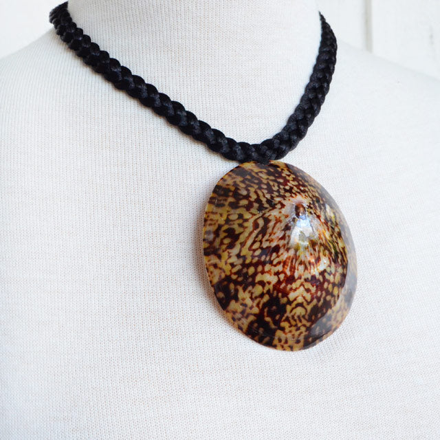 Hawaiian Hula Supplies Shell Necklace [Opihi Shell]