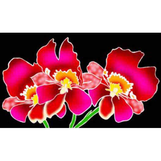 Hawaiian Hula Supplies Pareo [Orchid Asia]
