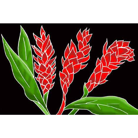 Hawaiian Hula Supplies Pareo [Torch Ginger]