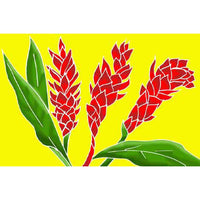 Hawaiian Hula Supplies Pareo [Torch Ginger]
