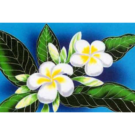 Hawaiian Hula Supplies Pareo [Plumeria]