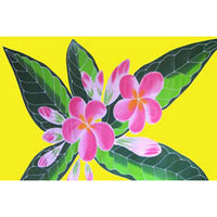 Hawaiian Hula Supplies Pareo [Pink Plumeria]