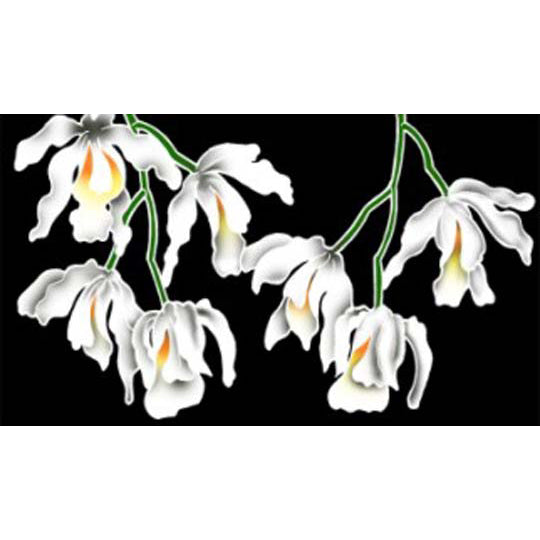 Hawaiian Hula Supplies Pareo [White Orchid]
